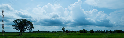 Background of dark sky before a thunder-storm.Panorama of the evening sky over the fields.Blurry.