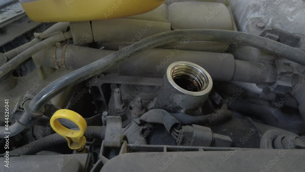 Inspection of the engine and checking motor oil level, adding new oil to the car engine Inspection of the engine and checking motor oil level, adding new oil to the car engine