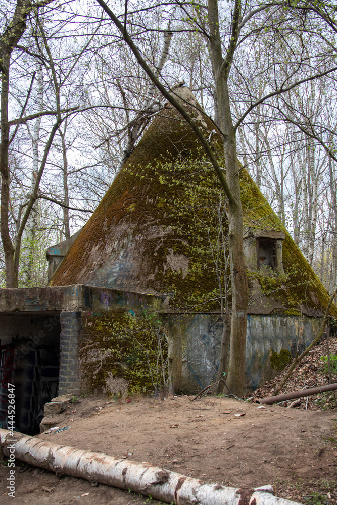 Rustic wild forests and old, partially blown up bunkers from the 2nd World War of the former MIMO plants in Leipzig Plaussig ,Germany Rustic wild forests and old, partially blown up bunkers from the 2nd World War of the former MIMO plants in Leipzig Plaussig ,Germany