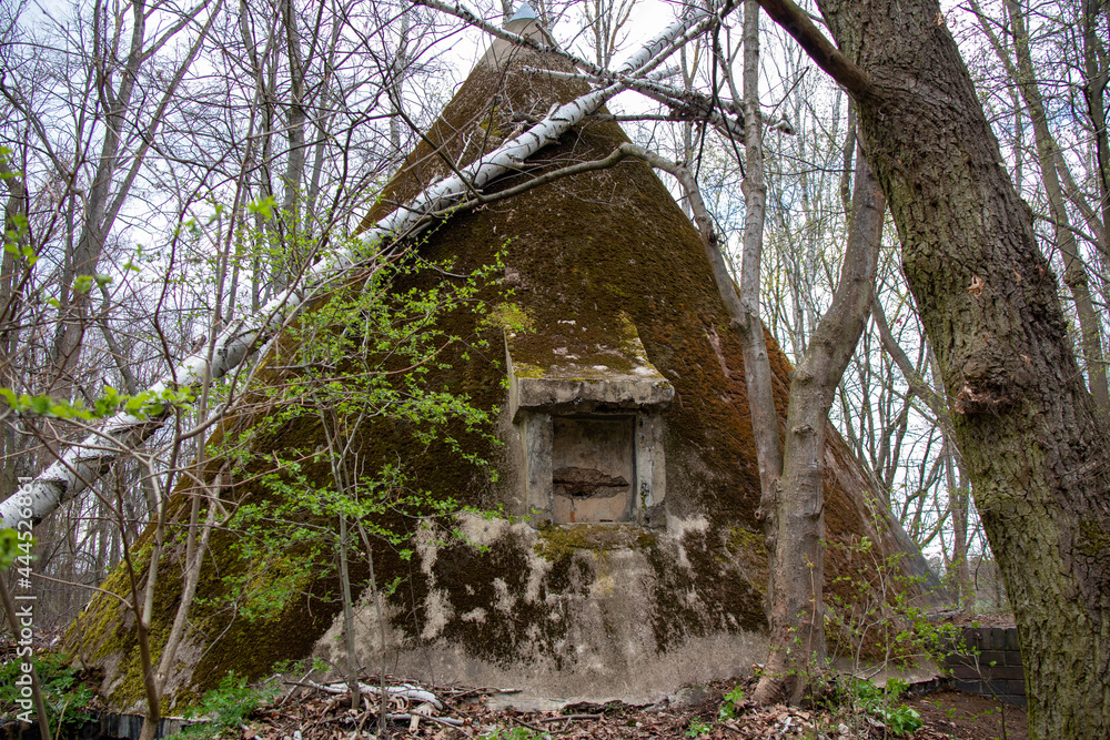 Rustic wild forests and old, partially blown up bunkers from the 2nd World War of the former MIMO plants in Leipzig Plaussig ,Germany Rustic wild forests and old, partially blown up bunkers from the 2nd World War of the former MIMO plants in Leipzig Plaussig ,Germany