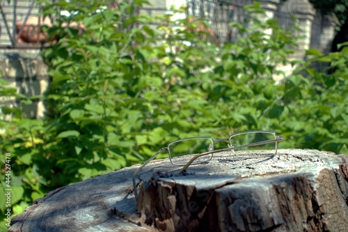 Wallpaper Mural Freshly picked cucumbers in a wicker basket from the village. Torontodigital.ca