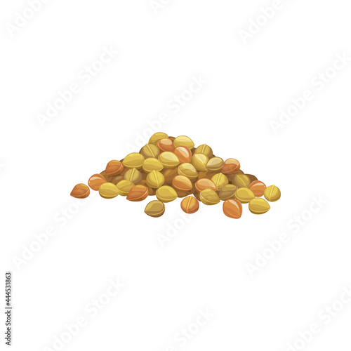 Pile of chickpeas isolated heap of pea beans. Vector organic vegetarian food, soy beans in pile. Healthy dietary cowpea, superfood product. Raw uncooked dry legumes, veggies harvest, organic soya