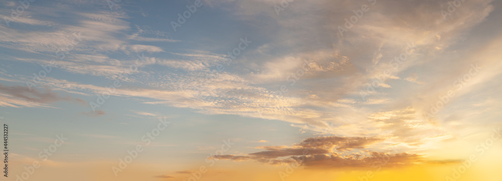 Obraz premium Sky background. Sky with white cumulus and orange sunlight