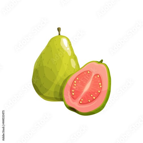 Guava fruit, vector fresh tropical plant. Isolated whole and half natural exotic fruit with pink juicy pulp. Ripe healthy organic product, cartoon element for design on white background