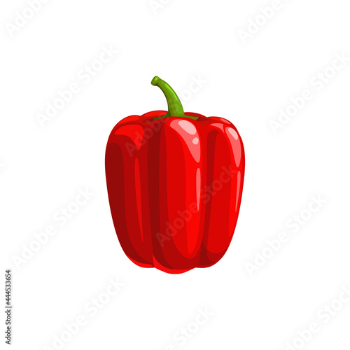 Sweet bulgarian pepper isolated veggie realistic design. Vector edible bellpepper, raw organic natural capsicum bell pepper. Ripe vegetable, vegetarian food, red tasty bellpepper 3D icon