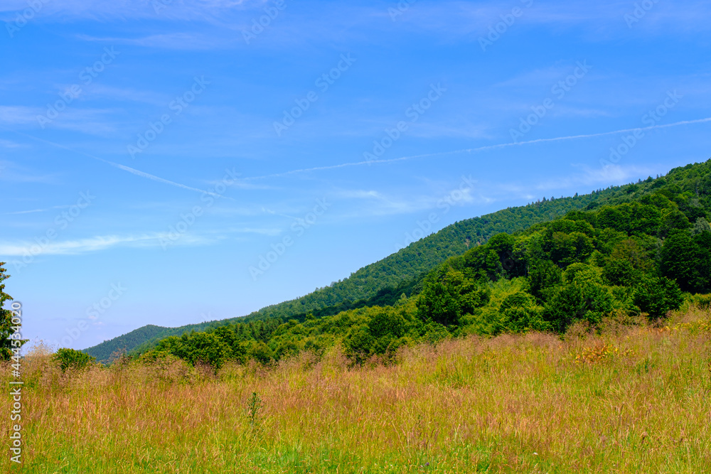 Cindrel Romanian mountains panoramic view, Glade Rose