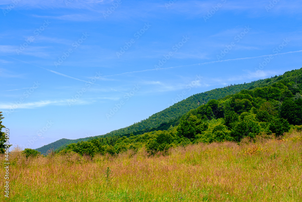 Cindrel Romanian mountains panoramic view, Glade Rose Cindrel Romanian mountains panoramic view, Glade Rose