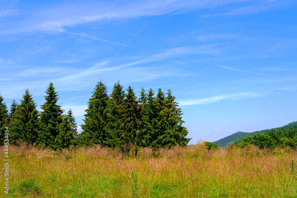Cindrel Romanian mountains panoramic view, Glade Rose Cindrel Romanian mountains panoramic view, Glade Rose