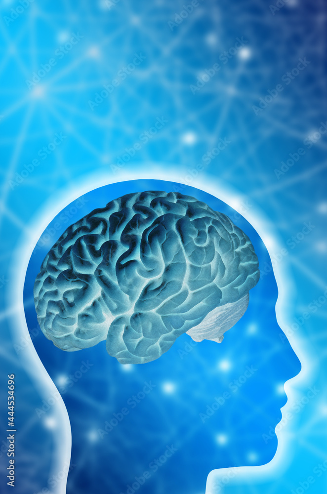 human head shape with brain showing human head shape with brain showing