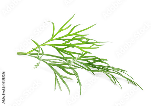 Sprig of fresh dill on white background © New Africa