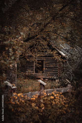 Fototapeta Naklejka Na Ścianę i Meble -  Strzebowiska | Bieszczady, Polska