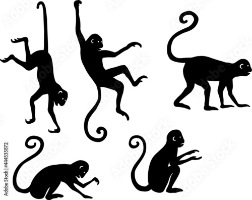 Simple black and white monkey illustration