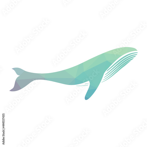 abstract humpback whale 