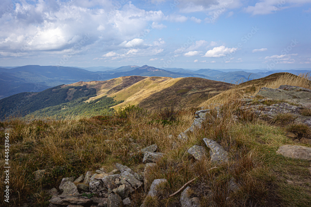 Tarnica | Bieszczady, Polska