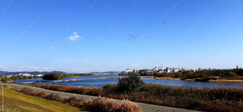 加古川 鳥の群れと共に