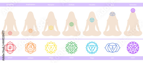 Chakras: muladhara, swadhisthana, manipura, anahata, vishuddha, ajna, sahasrara. Vector line symbol. Silhouettes of the woman in a lotus pose. Sacral icon. Meditation