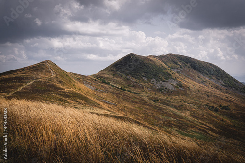 Fototapeta Naklejka Na Ścianę i Meble -  Tarnica | Bieszczady, Polska
