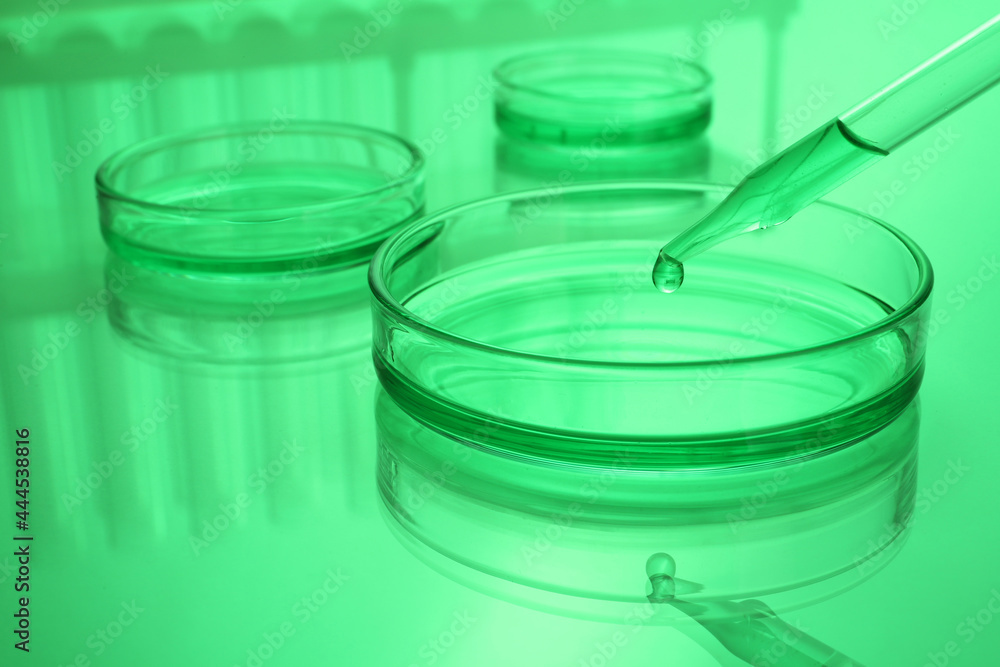 Dripping reagent into Petri dish with sample on table, toned in green Dripping reagent into Petri dish with sample on table, toned in green