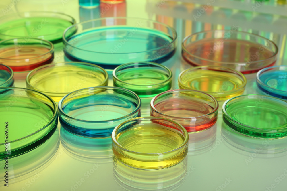 Petri dishes with different colorful samples on table Petri dishes with different colorful samples on table