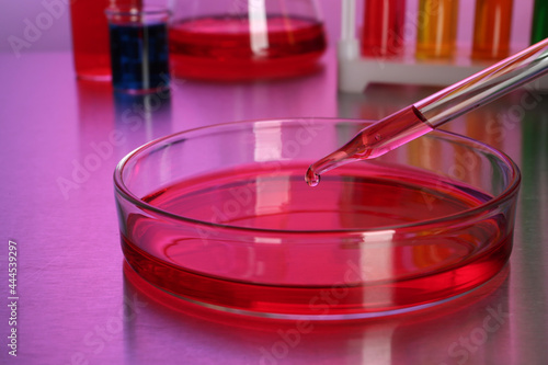 Dripping red reagent into Petri dish with sample on table, closeup