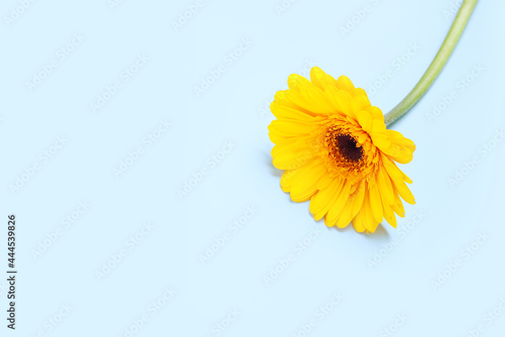 image to crop