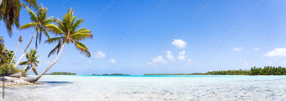 Tropical beach panorama with palm tree and turquoise sea