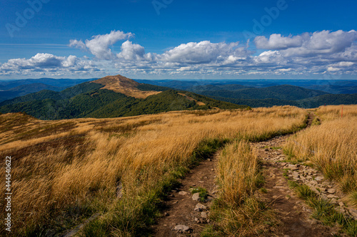 Fototapeta Naklejka Na Ścianę i Meble -  Połonina Wetlińska | Bieszczady, Polska