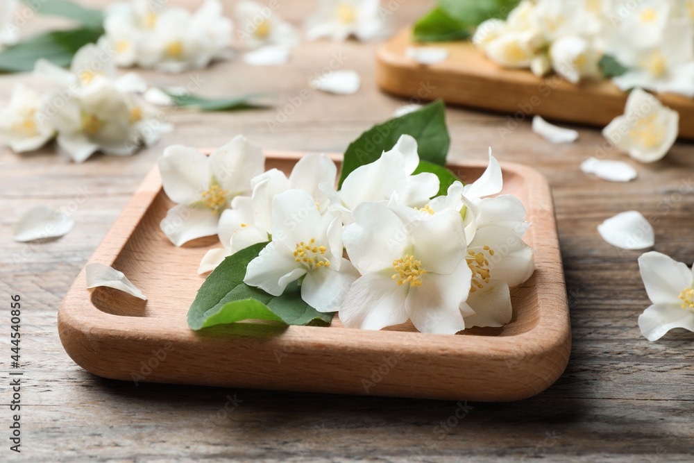 Plate with beautiful jasmine flowers on wooden table, closeup Plate with beautiful jasmine flowers on wooden table, closeup