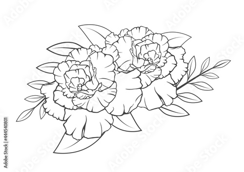 Flower leaves blossom drawing line art  isolated on white backgrounds