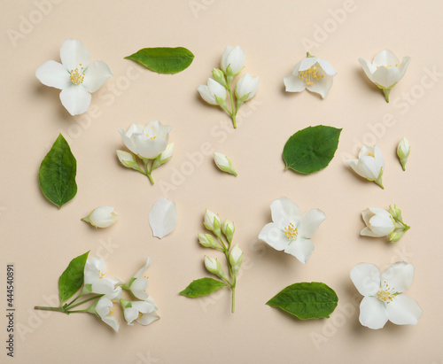 Flat lay composition with beautiful jasmine flowers on beige background