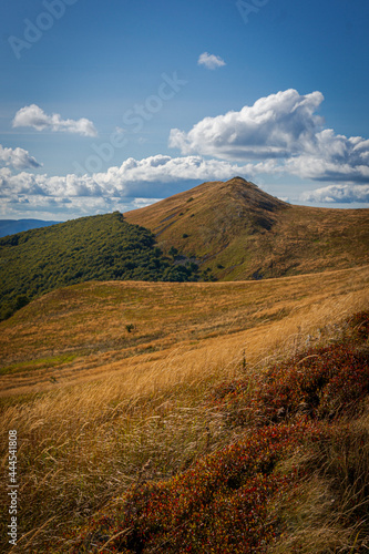 Fototapeta Naklejka Na Ścianę i Meble -  Połonina Wetlińska | Bieszczady, Polska