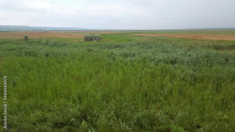 Rural landscape. Agricultural fields. Ukraine. Shooting in motion. Rural landscape. Agricultural fields. Ukraine. Shooting in motion.