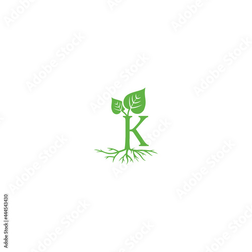 k letter kava leaf  tree logo design