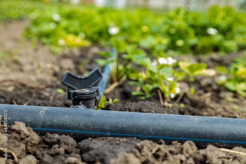 Closeup on a drip irrigation system in an agricultural training centre