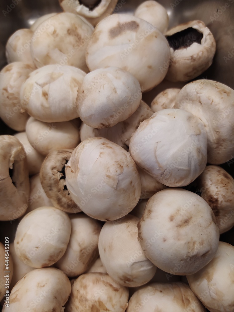 mushrooms on the market