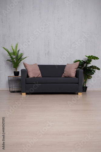 Modern sofa and plants with copy space over concrete wall