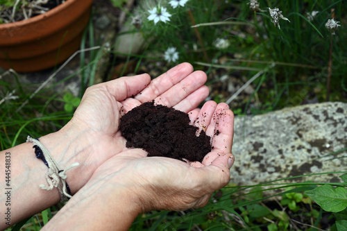 Quelqu'un avec du marc de café dans les mains pour le mettre dans un jardin