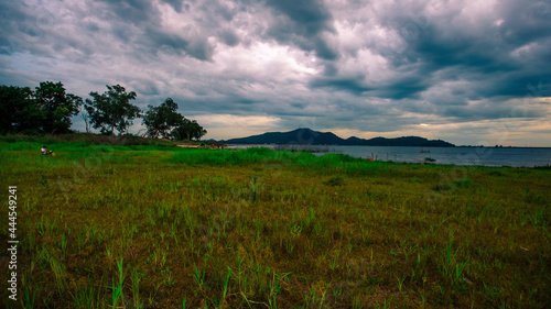 The background of Lanscape  fields  mountains  fog  trees  with intimate view. And fresh in the sight of the journey  light wallpaper of the sun in the morning.