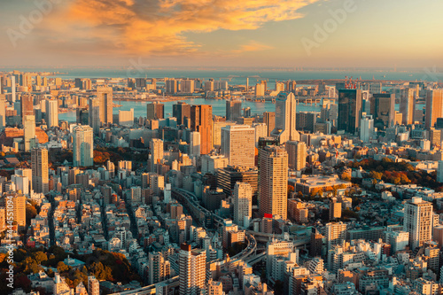 Tokyo at sunset. Evening in Japan. Japanese capital from a height. Life in a big city. Panorama of Tokyo. Tokyo streets from a bird's-eye view. Buildings in Japan. View of Japanese city from drone © Grispb