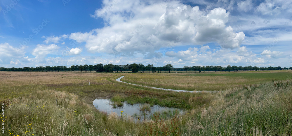 Panorama from a path through the National Park Drents-Friese Wold