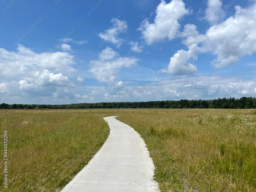 Obraz premium Path through the National Park Drents-Friese Wold