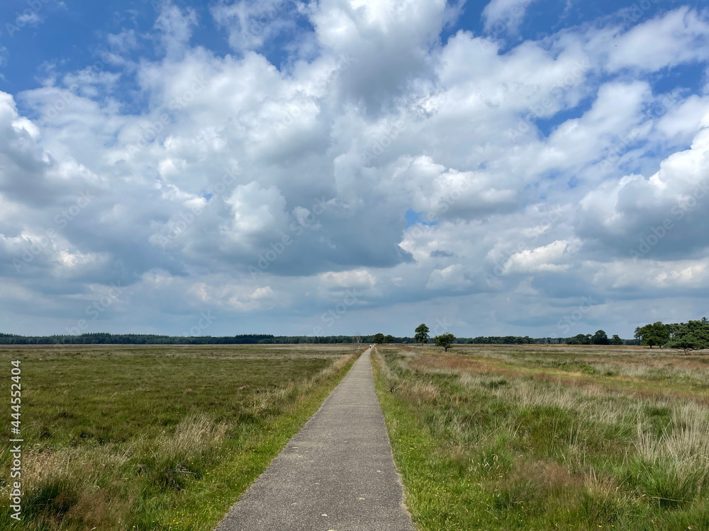 The scenery of National Park Drents-Friese Wold