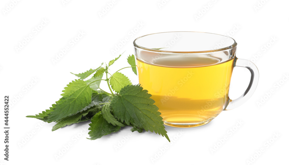 Glass cup of aromatic nettle tea and green leaves on white background Glass cup of aromatic nettle tea and green leaves on white background