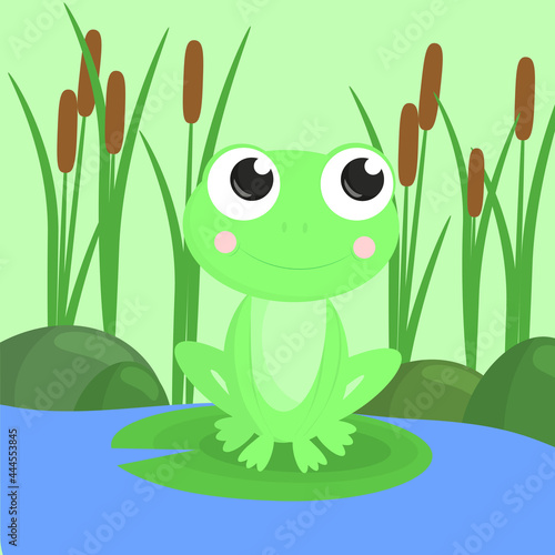 Cute cartoon baby frog on the background of a pond or swamp