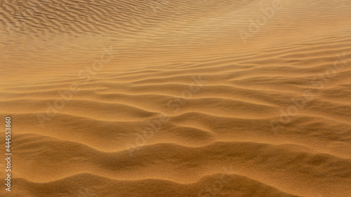 Beautiful patterns on the sand dunes © MalcStock