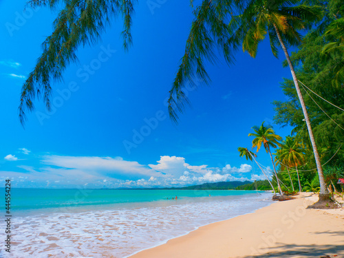 Quiet tropical beach on a sunny day  Coconut beach  Khao Lak  Phang Nga  Thailand 