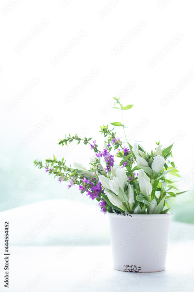 白のリンドウとミソハギのアレンジメント Stock Photo Adobe Stock