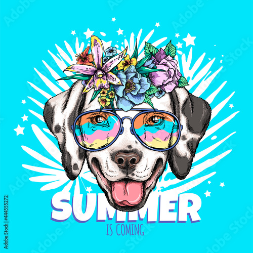 Cute dalmatian dog head in sunglasses. Summer is coming illustration. Stylish image for printing on any surface
