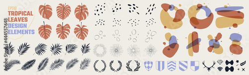 Big set of compositions, colored blots, tropical leaves and various design elements, vector collection of isolated details, for collages of posters and prints