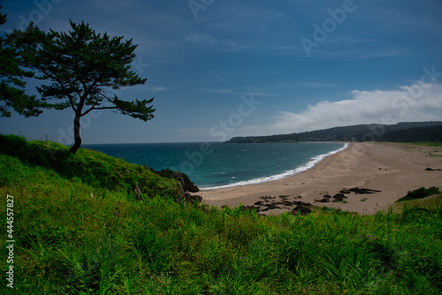 Wallpaper Mural みちのくトレイル Torontodigital.ca